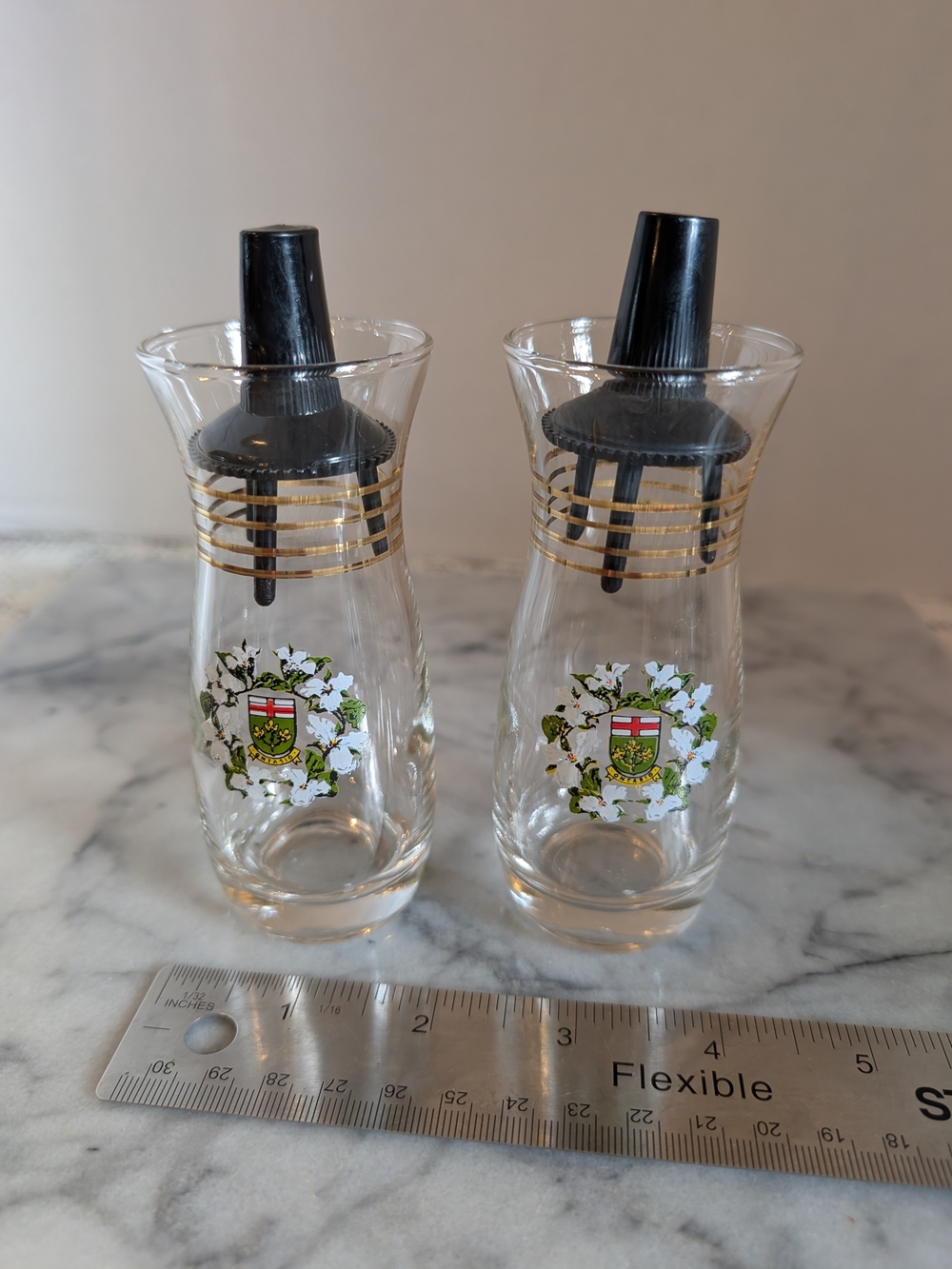 Vintage Ontario Souvenir Trillium Crest Glass Shakers Black Plunger Lids